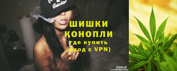 дмт Горнозаводск