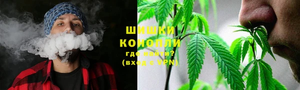 PSILOCYBIN Горняк
