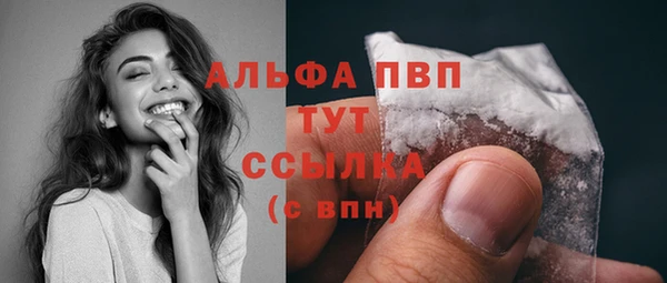 PSILOCYBIN Горняк