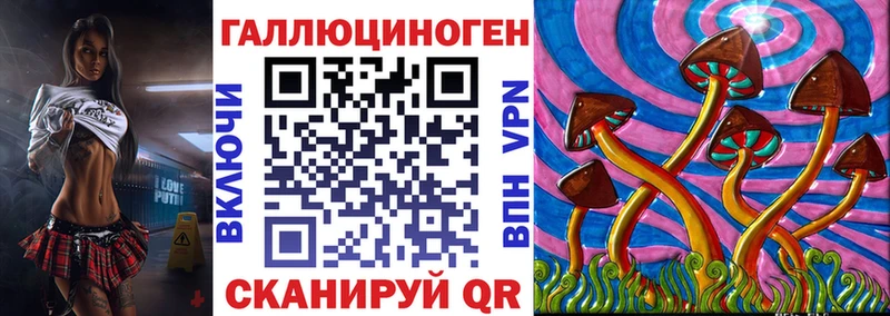 Галлюциногенные грибы мицелий  где можно купить   Жуков 